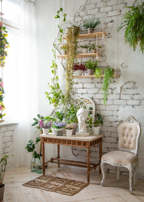 plantshelfsmall